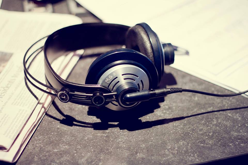 Pepper & Dylan gone from Virgin Edmonton