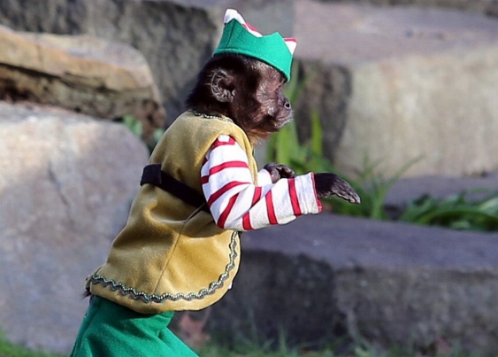 TV, Film Production Booming in Victoria