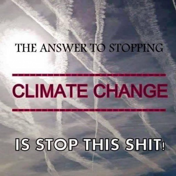 StopThisShitImage