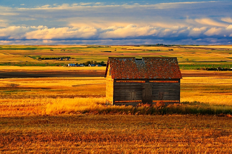 NBA Announcer: Saskatchewan named after Sasquatches