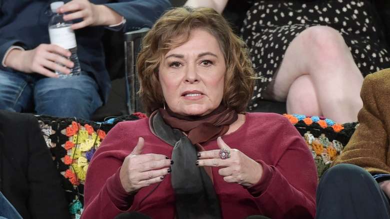 Roseanne Barr Rebuked by Drug Company after blaming Ambien for racist tweet
