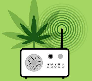 Cashing In On Cannabis: It’s Complicated… and Risky.