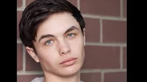 Coquitlam’s Logan Williams, actor on’The Flash,’ Dies Suddenly at 16