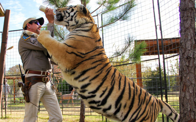 Joe Exotic radio show?