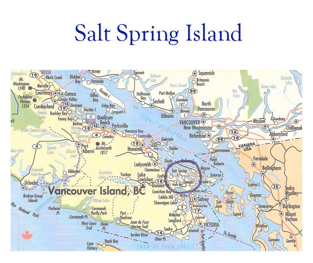 Salt Spring Island could sustain a community radio station at this time Puget Sound Radio
