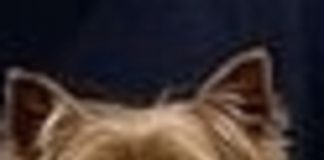 We thought Chuck would be back on PSR today, but that’s when he got back home from Jersey!