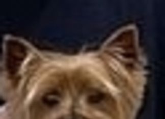 We thought Chuck would be back on PSR today, but that’s when he got back home from Jersey!