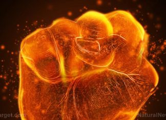 In latest hysteria, Canadian radio host calls for burning of churches built on “Indigenous” land