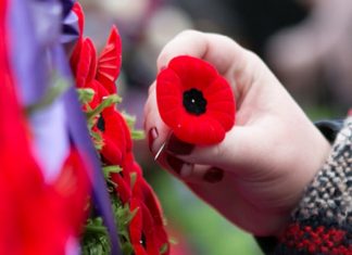 Special Radio Mans fave with Bryan Adams and ‘Remembrance Day’