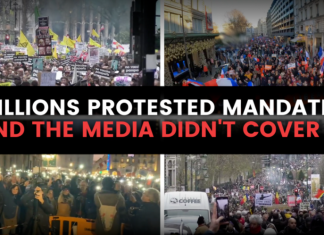 Millions Protested over the weekend, but guess what? The Media Totally IGNORED!