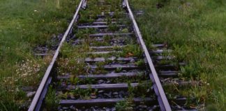 The Bells Are Ringing, ‘Auschwitz verses Covid’, by Byron Christopher (Updated)