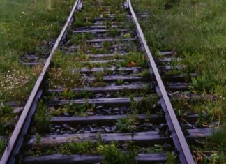 The Bells Are Ringing, ‘Auschwitz verses Covid’, by Byron Christopher (Updated)