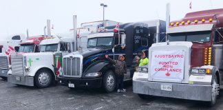 The elites belittle the Truckers For Freedom Convoy and Freedom Rallies
