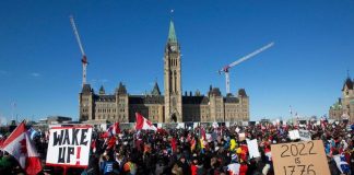 Portraying Trudeau As Blameless For Convoy Confirms Globalist Media Agenda, by Brad Salzberg