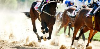 The King of the Sport of Kings, by Dr. Sport Greg Douglas