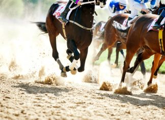 The King of the Sport of Kings, by Dr. Sport Greg Douglas