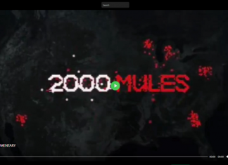 2000 Mules – Full Documentary – Just Released