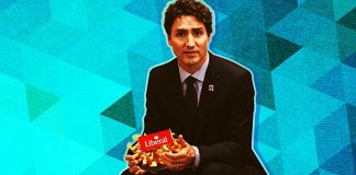 Majority Polled Say Canadian Media Intentionally Deceiving Citizens, by Brad Salzberg