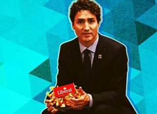 Majority Polled Say Canadian Media Intentionally Deceiving Citizens, by Brad Salzberg