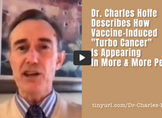 PSR’s New Years Day Sunday Evening News with the News behind the News and Much More…