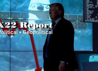 Solar Storm, Communications, Trump Ready To Go To Jail For The Constitution, Time Is Now – X22 Report