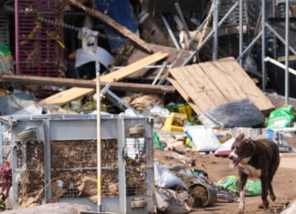 Radio Has Been ‘A Godsend For So Many’ In Helene’s Aftermath