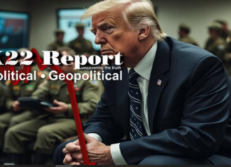 Prepare For Insurgency & The Counterinsurgency, National Guard Activated – X22 Report