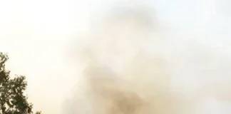 LA’s Eaton Fire Threatens Critical Mt Wilson Broadcast Tower Site.