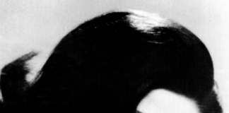 Radio Mans fave with Little Peggy March