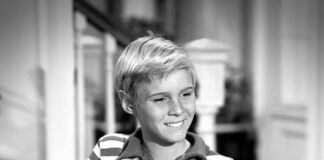 Jay North, Star of Original ‘Dennis the Menace’ TV Show, Dies at 73