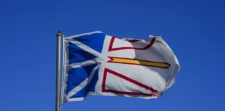 Member of Newfoundland and Labrador broadcasting family killed by California police