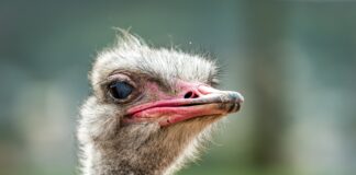 PSR’s 6pm Tuesday Night News with the News You Should Know